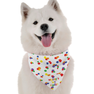 Where's My Cake for Dogs, size Boy
