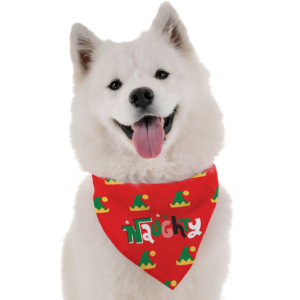 Naughty for Dogs