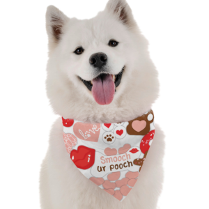 Give This Pooch Smooch for Dogs