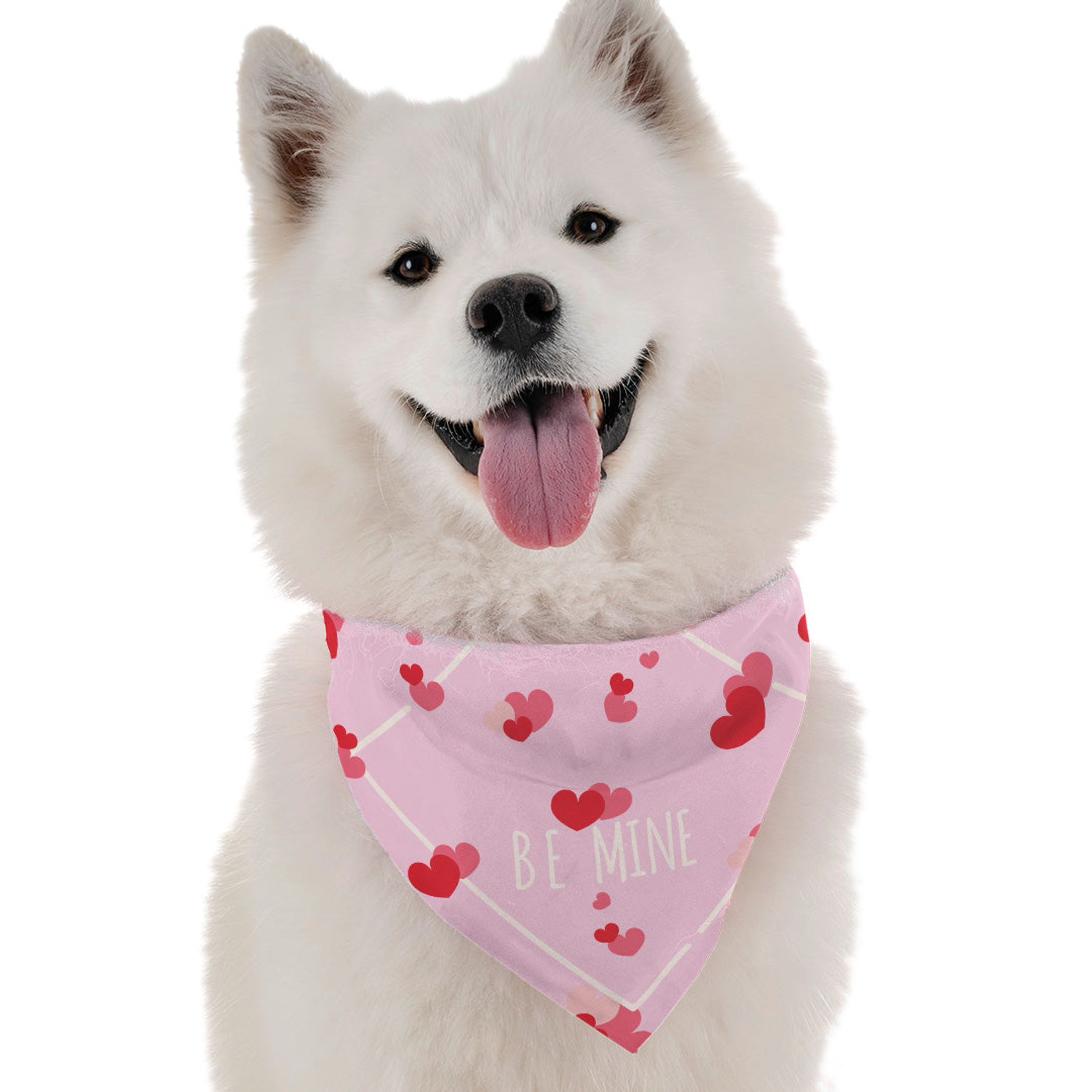 Be Mine for Dogs