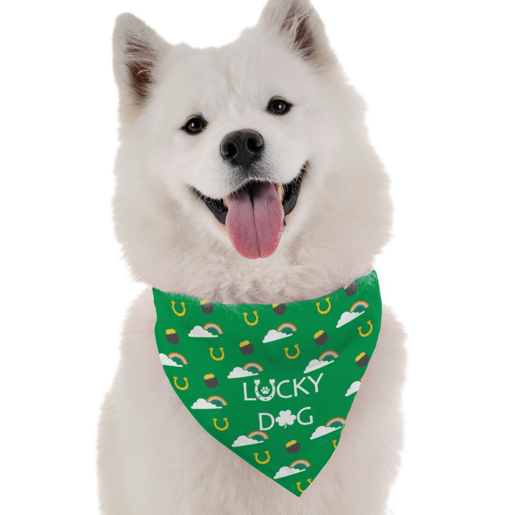 Lucky Dog