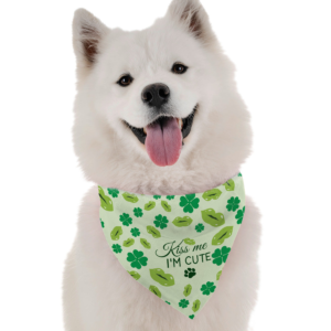 Kiss Me I'm Cute for Dogs