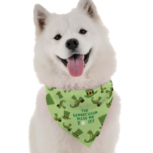Leprechaun Made Me Do It for Dogs