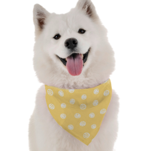 Zoey for Dogs