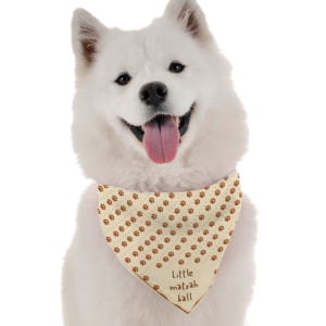 Little Matzah Ball for Dogs