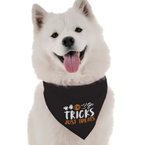 No Tricks, Just Treats for Dogs