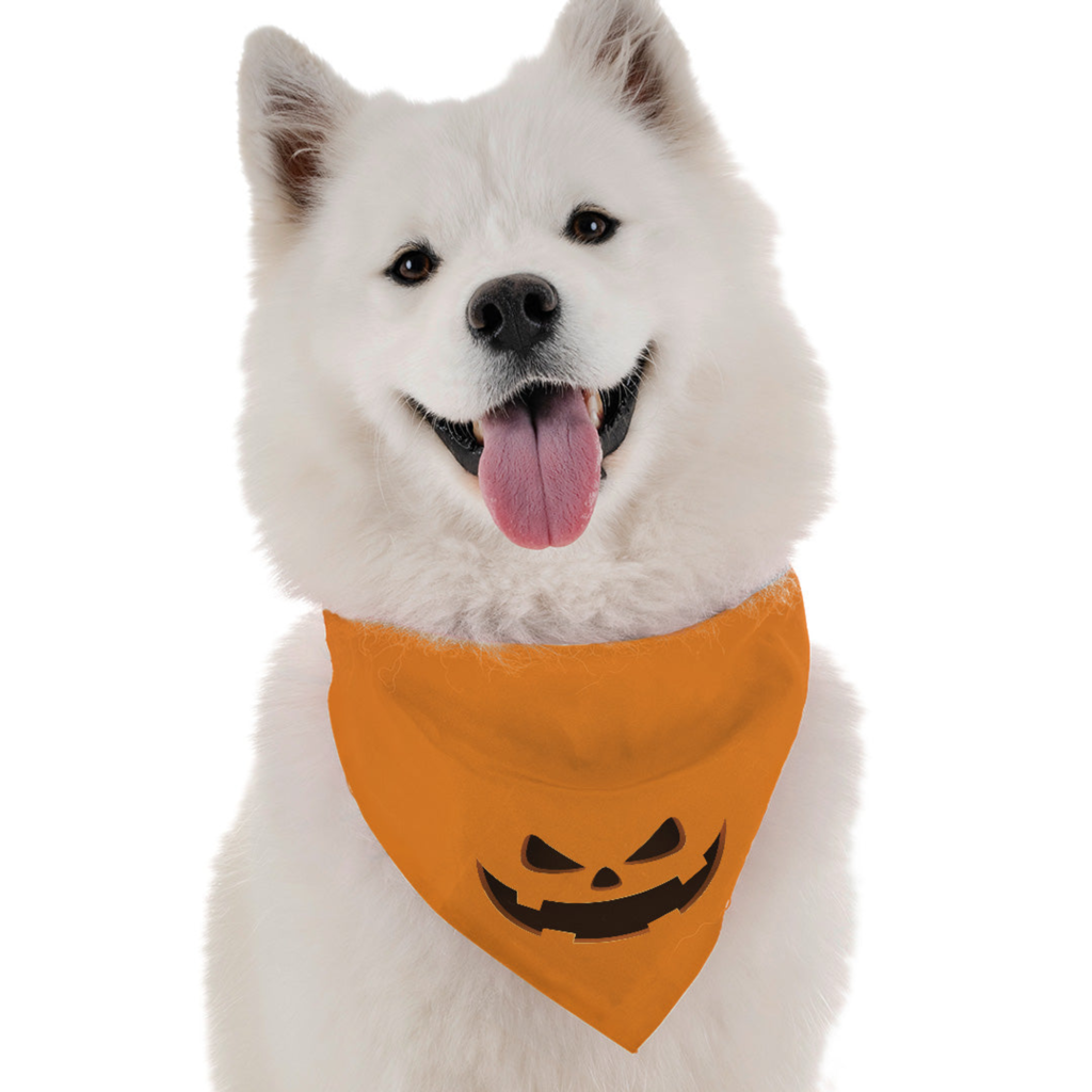 Jack-O-Lantern for Dogs