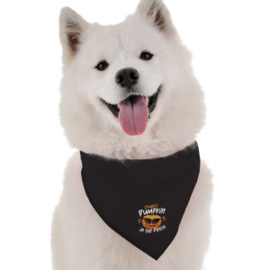 Coolest Pumpkin for Dogs