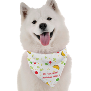 My Favorite Drinking Amigo for Dogs
