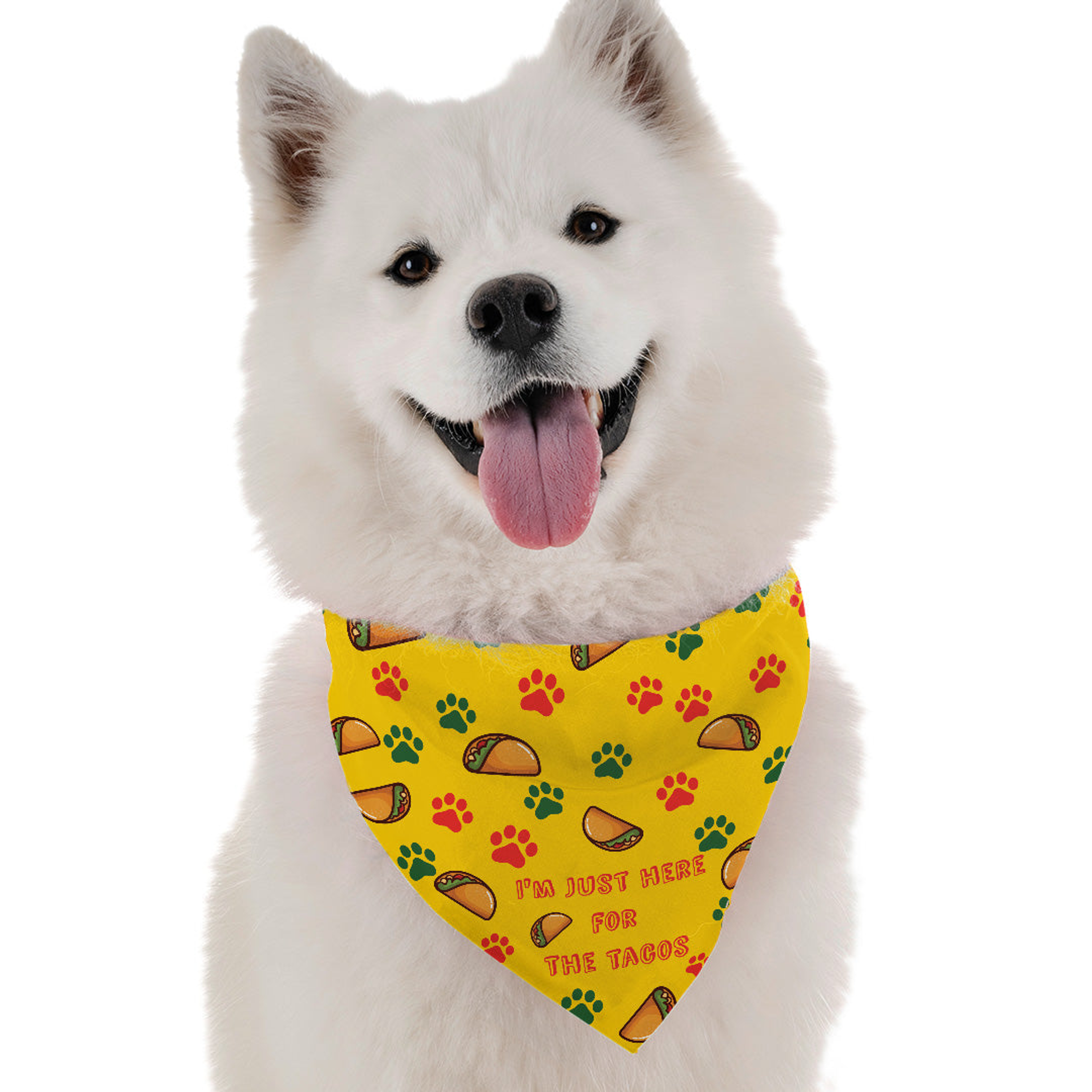 I'm Just Here Tacos for Dogs