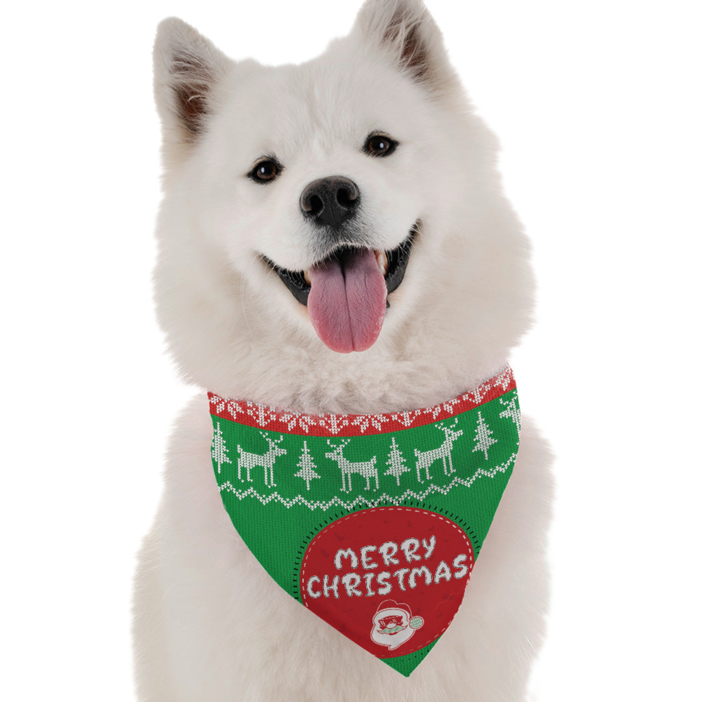 Ugliest Xmas Sweater for Dogs