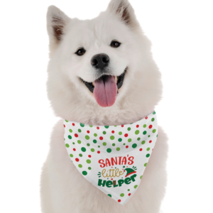 Santa's Little Helper for Dogs