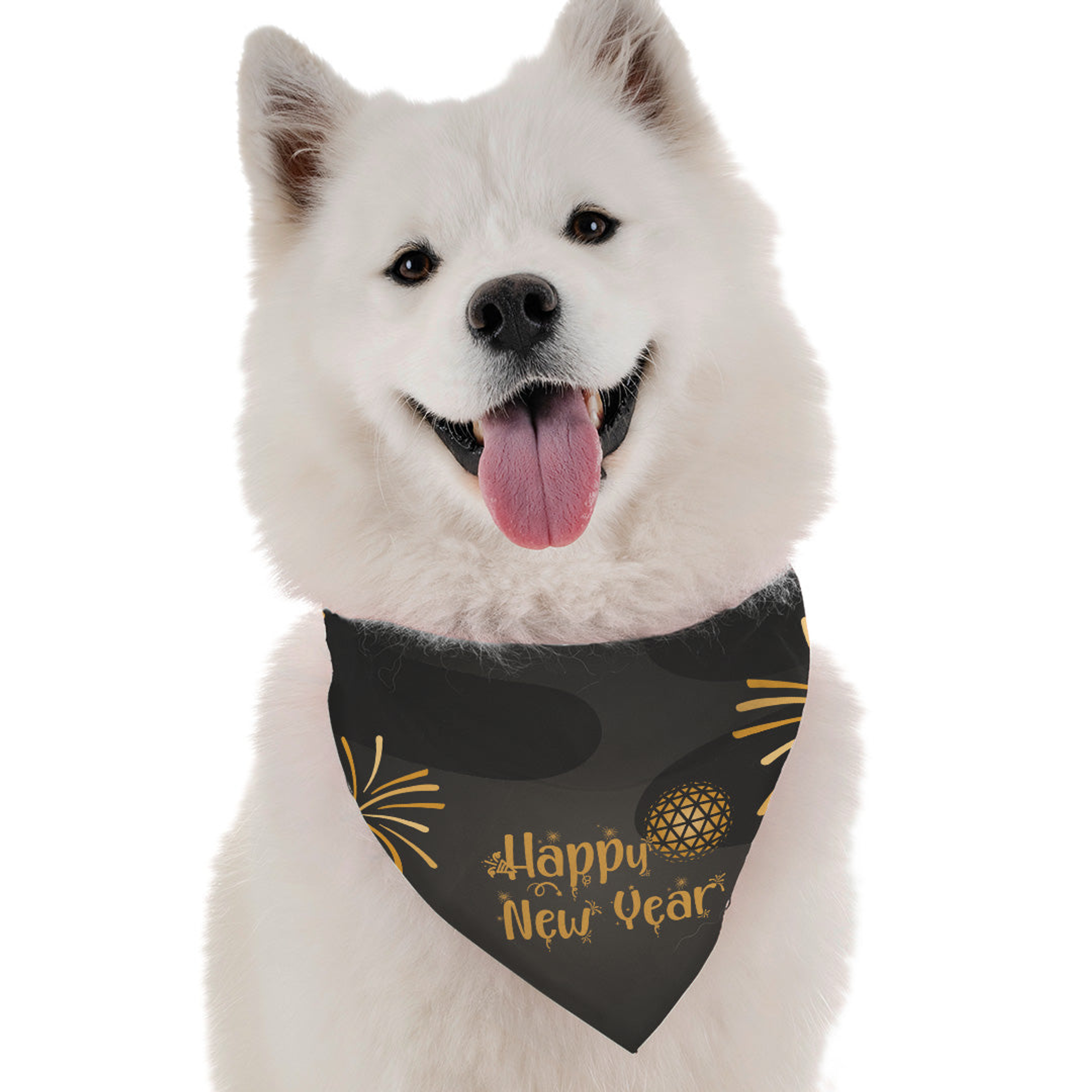 Happy New Year for Dogs