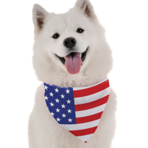 All American for Dogs