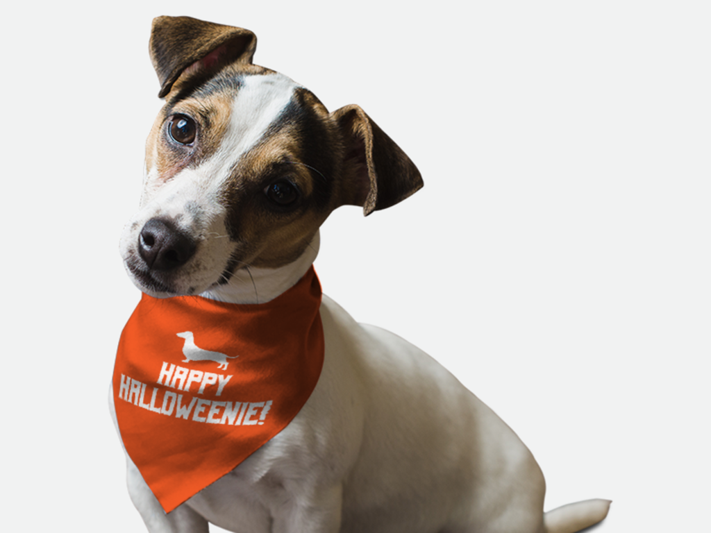 Happy Halloweenie! for Dogs