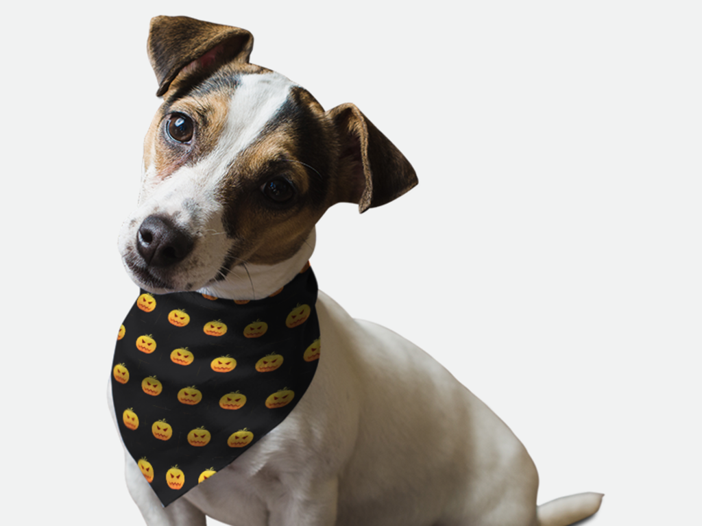 Head Full O' Pumpkin! for Dogs