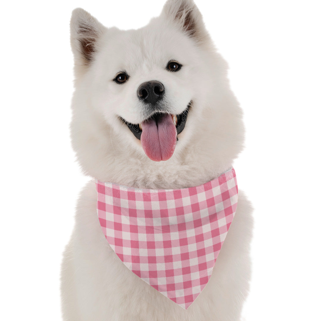 Pink Picnic for Dogs