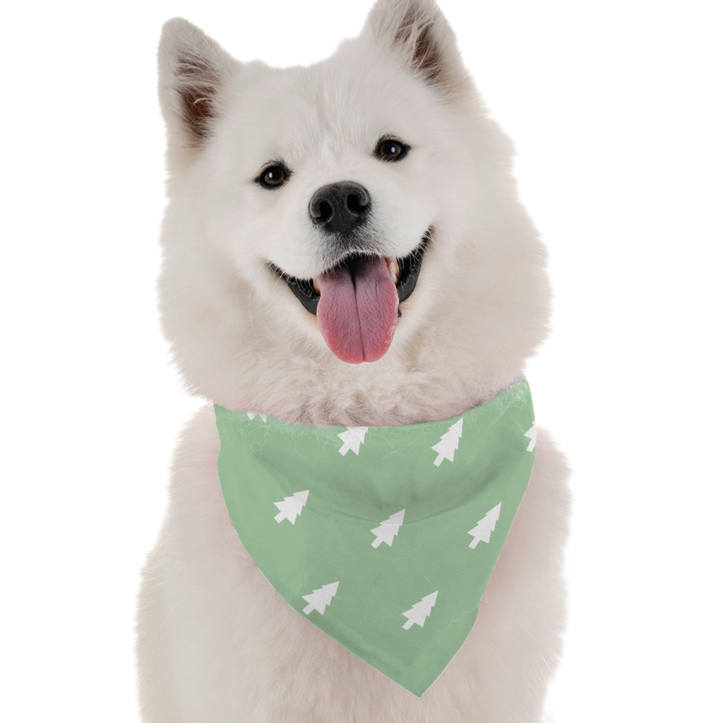 Spruce for Dogs