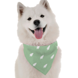 Spruce for Dogs