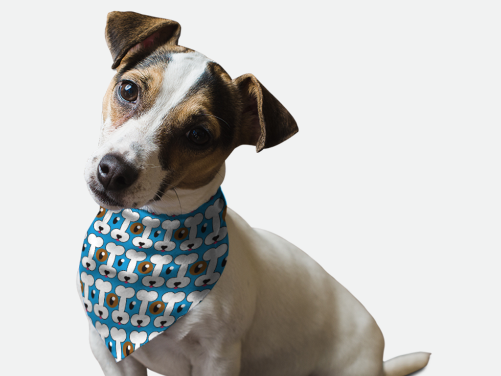 Peek-A-Bone for Dogs