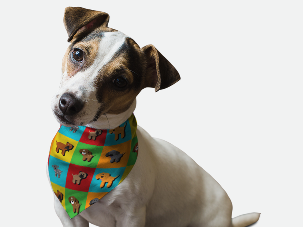Park Snazzenue for Dogs