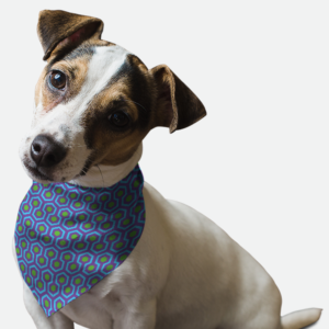 1960's Retro Style for Dogs
