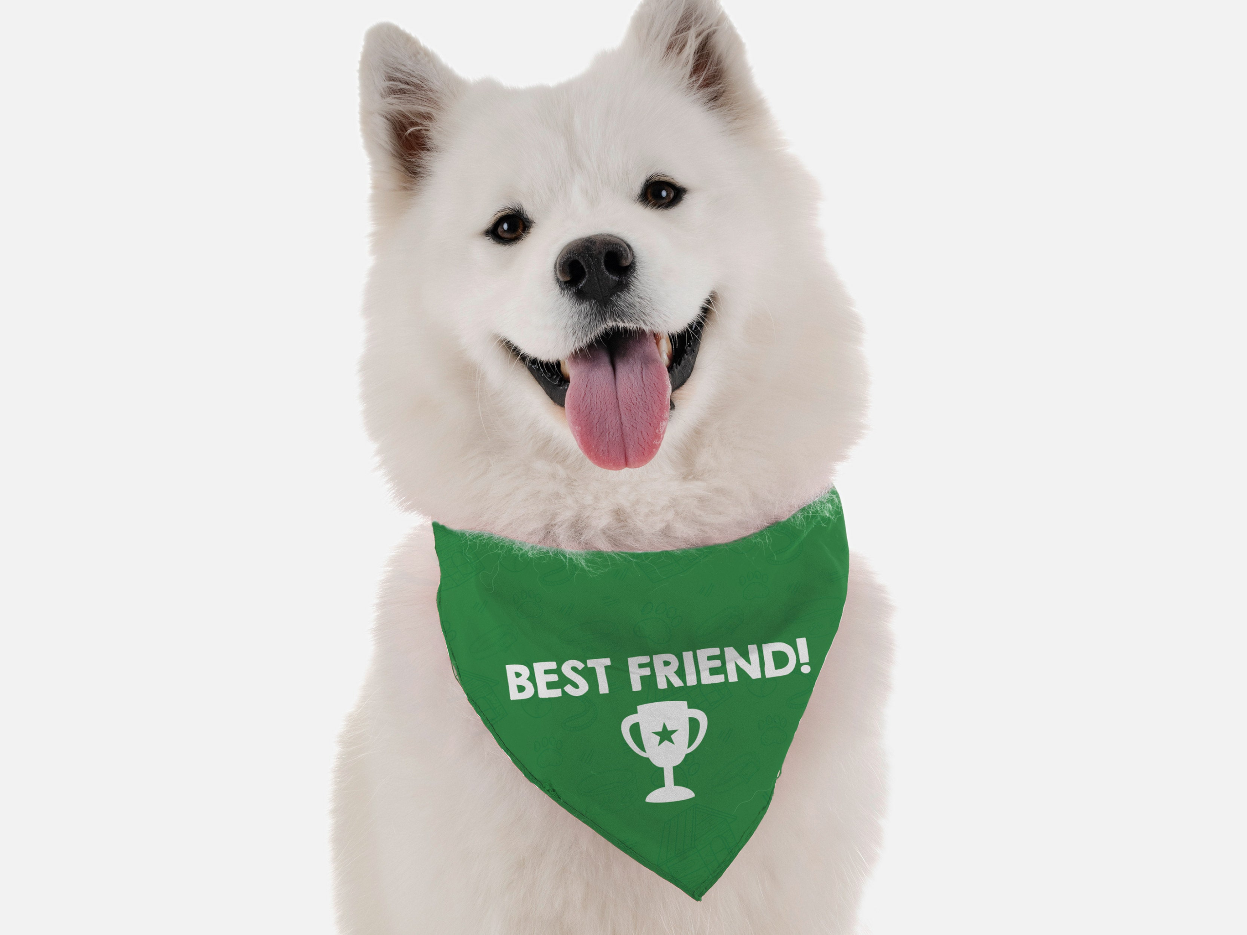 Best Friend for Dogs