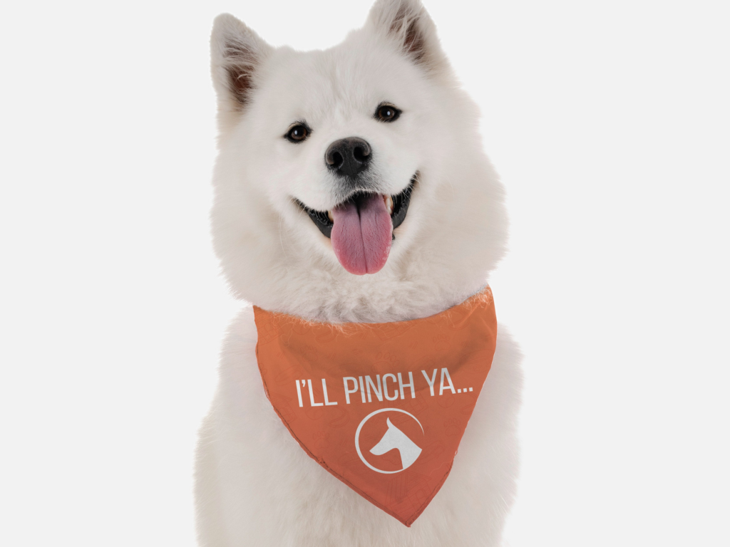 I'll Pinch Ya for Dogs