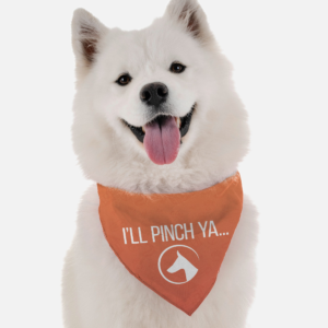 I'll Pinch Ya for Dogs
