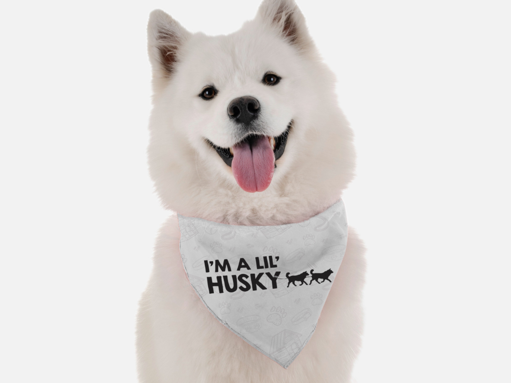 I'm lil' Husky for Dogs