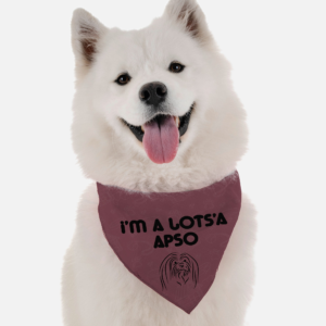I'm Lots'a Apso for Dogs