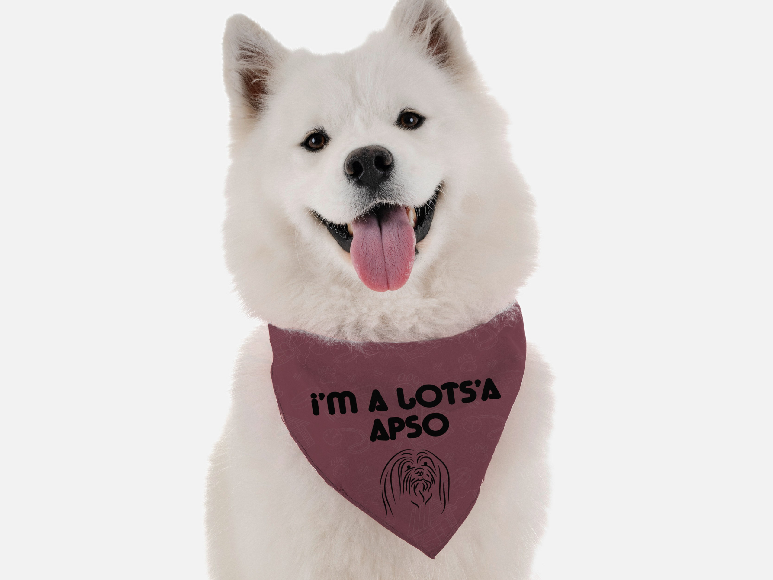 I'm Lots'a Apso for Dogs