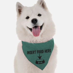 Insert Food Here for Dogs