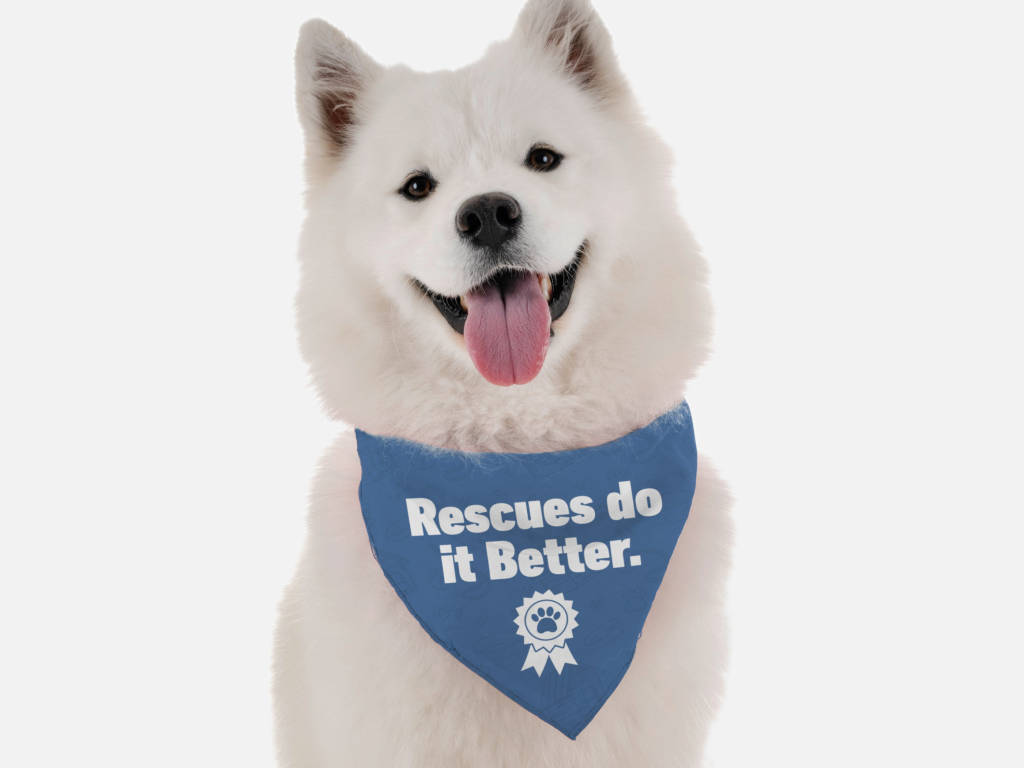 Rescues Do it Better for Dogs