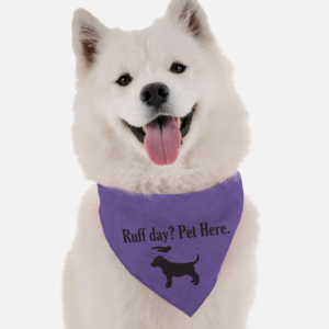 Ruff Day? Pet Here. for Dogs