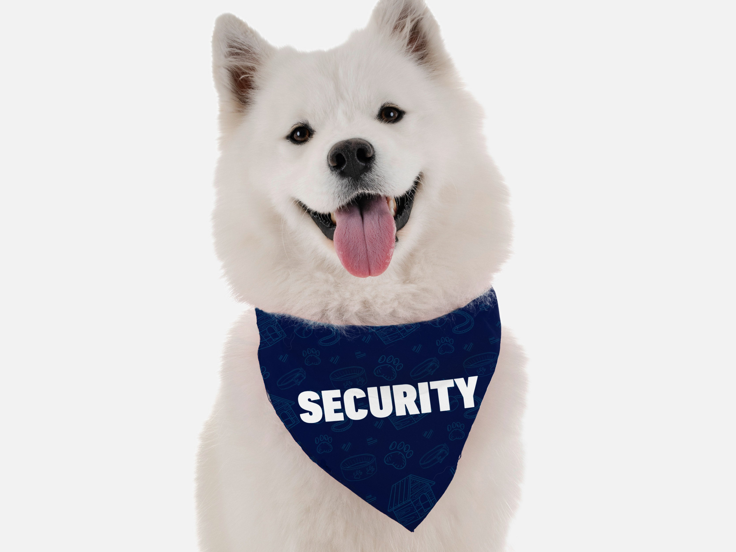 Security for Dogs