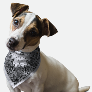 Grey Paisley for Dogs