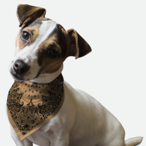 Sand Paisley for Dogs