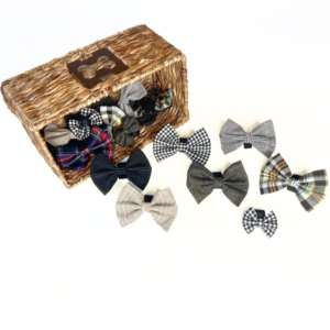 Boys Bowtie Budget Bundle - Pets Ribbons