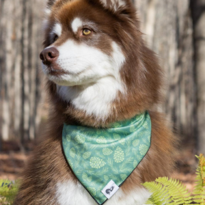 Pine Cone Pup Bandana
