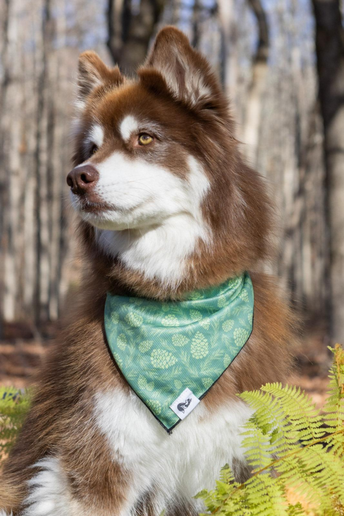 Pine Cone Pup Bandana for Dogs