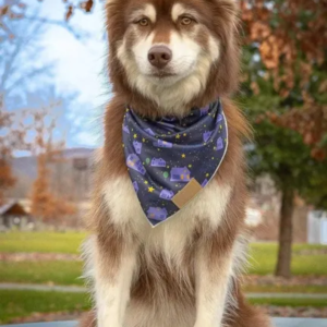 Starry Embrace Dog Bandana