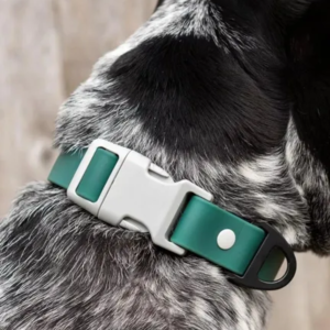 Siberian Spruce Waterproof Dog Collar
