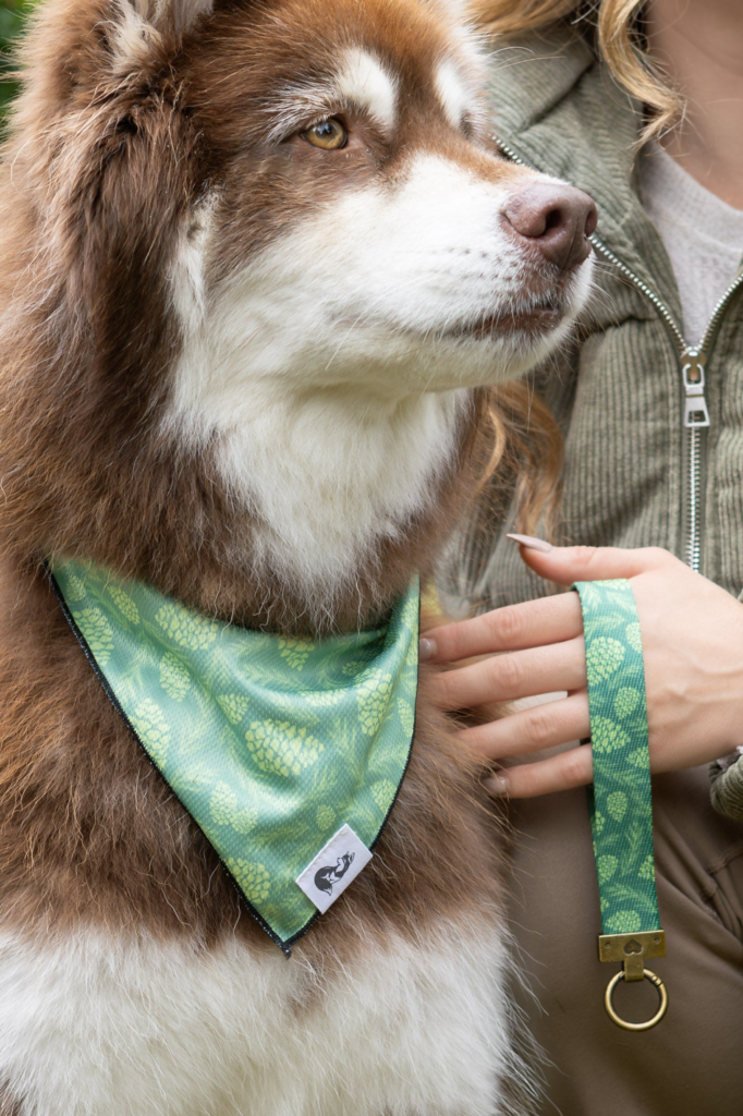 Pine Cone Pup Bandana & Matching Keychain for Dogs