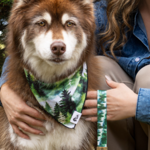Evergreen Explorer Dog Bandana & Matching Keychain