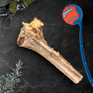 Large Ostrich Cane : The Ultimate Long-Lasting Chew for Medium