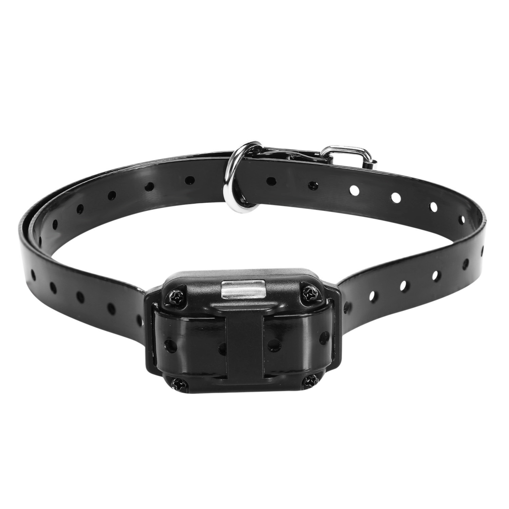 Dog Training Collar