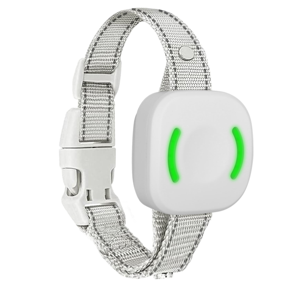 IP67 Waterproof Electric Dog Training Collar