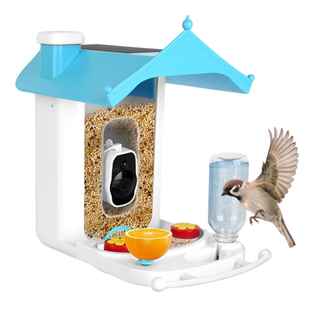 Solar Powered Smart Bird Feeder for Dogs