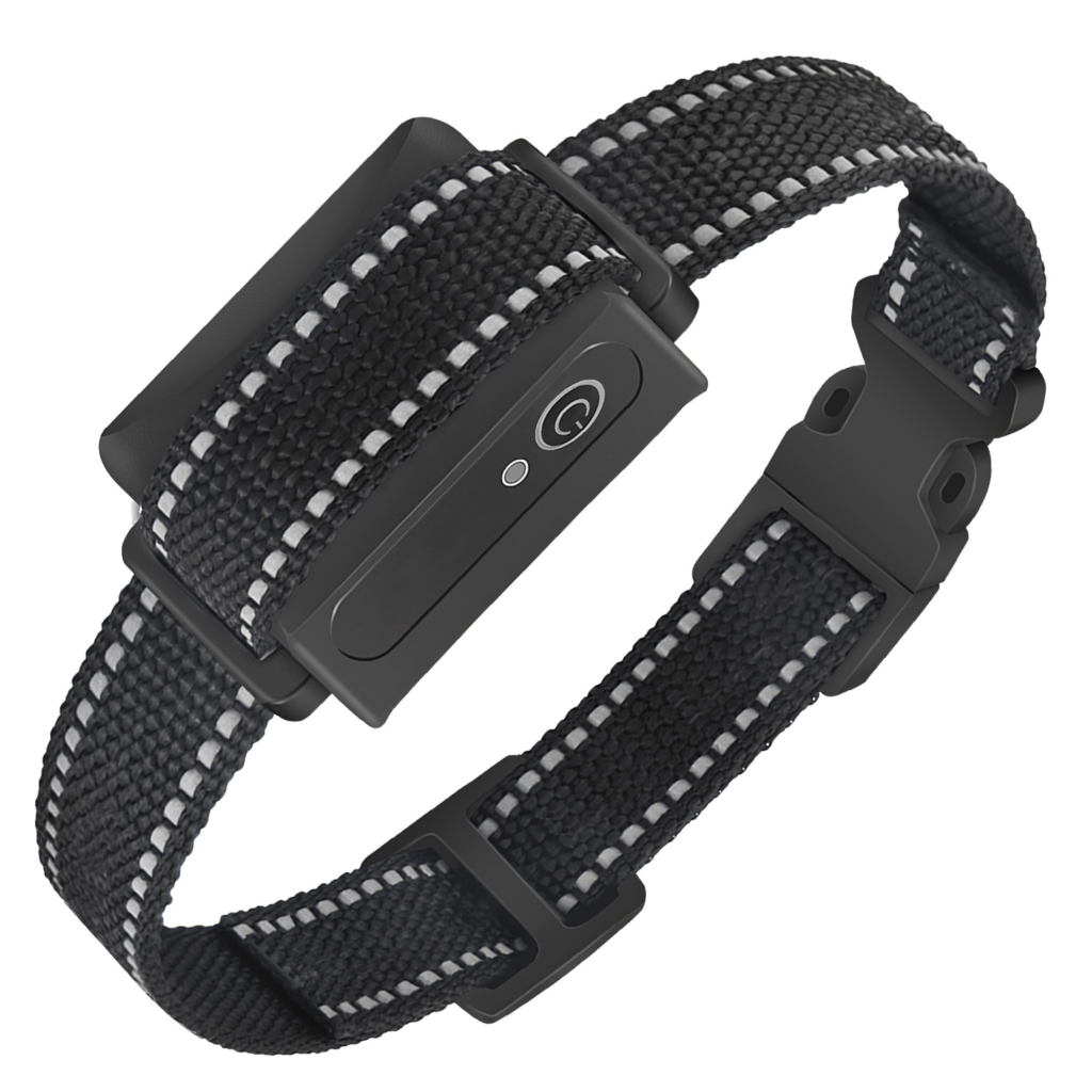 Dog Training Collar Receiver